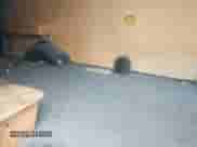 2004 Chevrolet Express Cargo с VIN 1GCGG29V441240267, выставлен на аукционе IAAI как лот 42802408 с пробегом 333 863 миль миль и . История ставок и продаж доступна на DreamBid. Изображение 8.