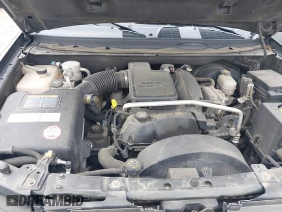 2005 Chevrolet TrailBlazer LS with VIN 1GNDT13S352308441, listed as a IAAI auction lot 43378864 with 189,574 mi miles and . Bid and sale history available at DreamBid. Image 10.