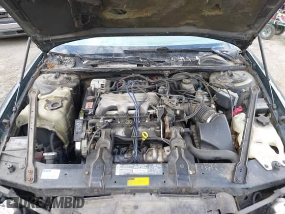 1995 Chevrolet Lumina с VIN 2G1WN52M5S9341596, выставлен на аукционе IAAI как лот 43460488 с пробегом 203 277 миль миль и . История ставок и продаж доступна на DreamBid. Изображение 10.