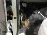 2005 Chevrolet Astro Cargo with VIN 1GCDM19XX5B133663, listed as a IAAI auction lot 43072116 with 142,539 mi miles and . Bid and sale history available at DreamBid. Image 16.