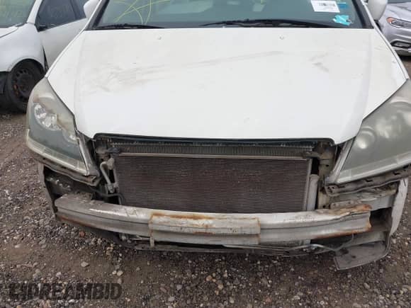 2007 Honda Odyssey EX-L с VIN 5FNRL38687B462567, выставлен на аукционе IAAI как лот 42895295 с пробегом Не указан миль и . История ставок и продаж доступна на DreamBid. Изображение 6.