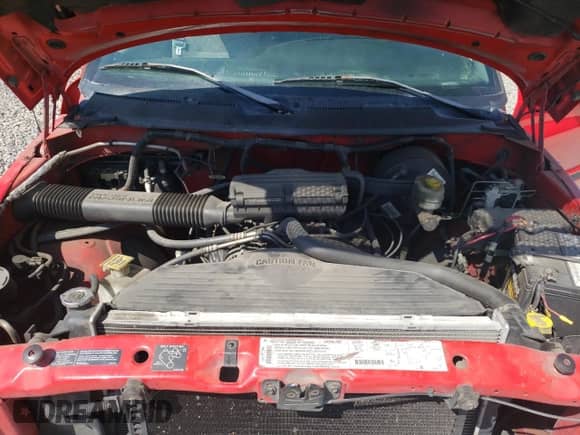 1999 Dodge 1500 with VIN 1B7HC13Z7XJ587859, listed as a Copart auction lot 81059855 with 233,341 mi miles and Salvage title. Bid and sale history available at DreamBid. Image 11.