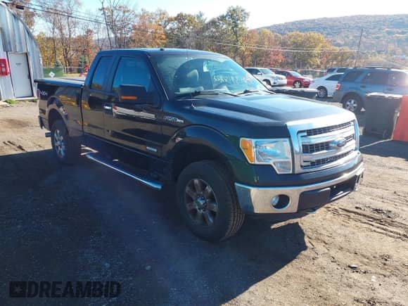 2014 Ford F-150 XL with VIN 1FTFX1ET7EFA54009, listed as a IAAI auction lot 43518212 with 138,596 mi miles and . Bid and sale history available at DreamBid. Image 1.