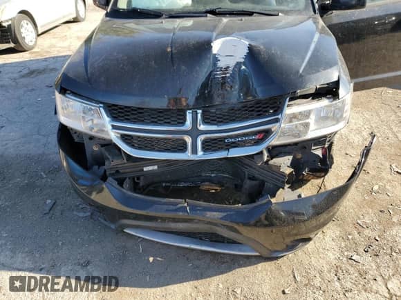 2014 Dodge Journey SXT with VIN 3C4PDDBG7ET251502, listed as a Copart auction lot 85232204 with 158,756 mi miles and Salvage title. Bid and sale history available at DreamBid. Image 11.