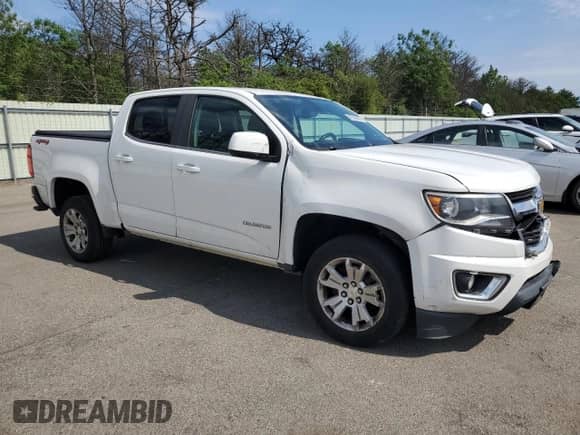 2017 Chevrolet Colorado 4WD LT with VIN 1GCGTCEN9H1313713, listed as a Copart auction lot 62580635 with 176,605 mi miles and Salvage title. Bid and sale history available at DreamBid. Image 4.