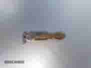 2013 Ford F-150 Lariat with VIN 1FTFW1ET9DKE25809, listed as a IAAI auction lot 42531919 with 247,445 mi miles and . Bid and sale history available at DreamBid. Image 11.