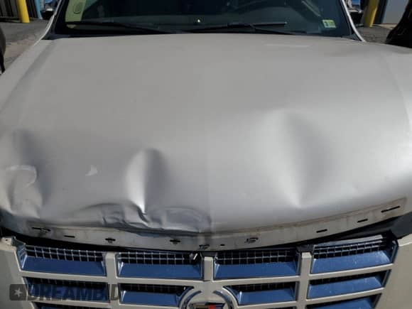 2010 Cadillac Escalade with VIN 1GYUKEEJ1AR176122, listed as a Copart auction lot 69550225 with 163,170 mi miles and Clean title. Bid and sale history available at DreamBid. Image 12.