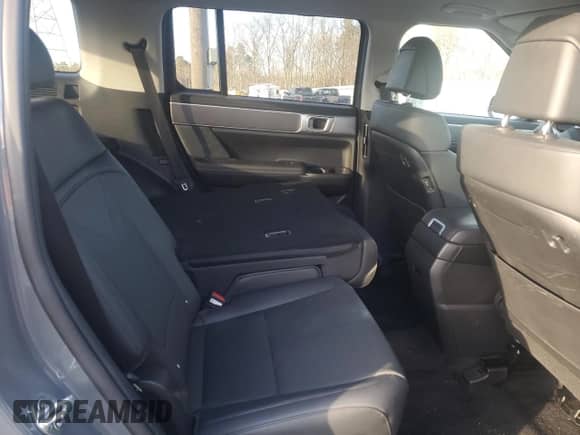 2024 Hyundai Santa Fe SEL с VIN 5NMP2DGL6RH027376, выставлен на аукционе Copart как лот 87503005 с пробегом 9 789 миль миль и Чистый • Clean title. История ставок и продаж доступна на DreamBid. Изображение 11.