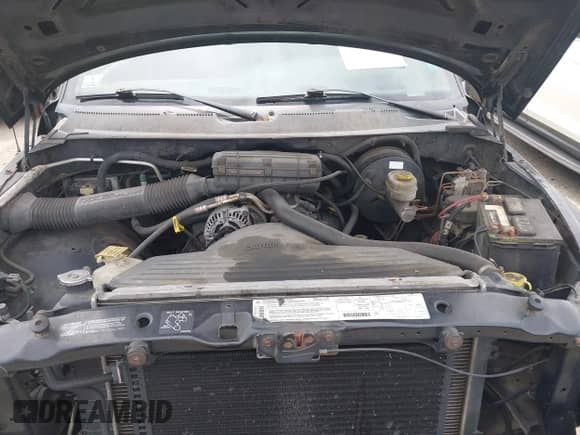 1999 Dodge 1500 with VIN 1B7HC16X7XS152439, listed as a IAAI auction lot 42676198 with 300,329 mi miles and . Bid and sale history available at DreamBid. Image 10.