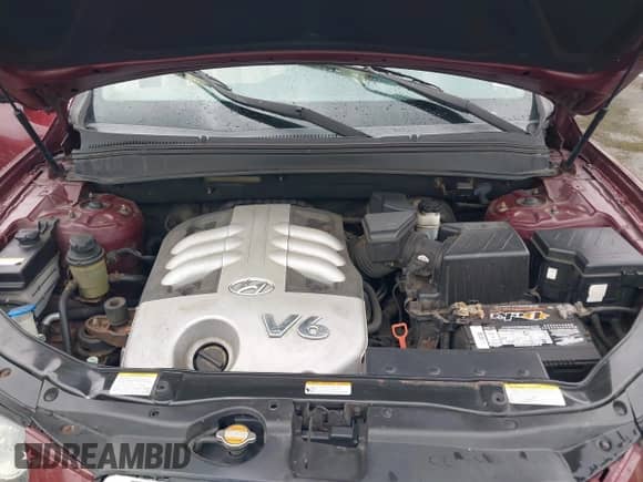 2007 Hyundai Santa Fe SE z VIN 5NMSH73EX7H045524, wystawiony jako IAAI lot #43244004 z przebiegiem 127 905 mil mil oraz . Historia ofert i sprzedaży dostępna na DreamBid. Obrazek 10.