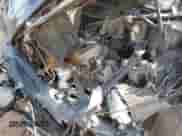 2004 Toyota Camry LE z VIN 4T1BF32K44U062244, wystawiony jako Copart lot #80319335 z przebiegiem Nie podano mil oraz Nie do naprawy • Non repairable. Historia ofert i sprzedaży dostępna na DreamBid. Obrazek 11.