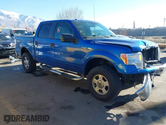 2010 Ford F-150 XL with VIN 1FTEW1E87AFB51697, listed as a IAAI auction lot 41454088 with 171,787 mi miles and . Bid and sale history available at DreamBid. Image 1.