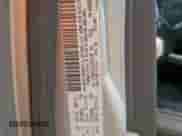 2009 Dodge 1500 SLT с VIN 1D3HB16T09J531038, выставлен на аукционе Copart как лот 65023745 с пробегом 125 983 миль миль и Чистый • Clean title. История ставок и продаж доступна на DreamBid. Изображение 12.