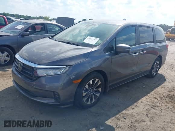 2024 Honda Odyssey EX-L с VIN 5FNRL6H60RB071028, выставлен на аукционе IAAI как лот 42167795 с пробегом 26 328 миль миль и . История ставок и продаж доступна на DreamBid. Изображение 2.