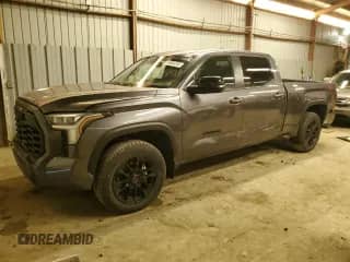 2025 Toyota Tundra Limited with VIN 5TFWA5EC3SX039490, listed as a Copart auction lot 48064345 with 1,837 mi miles and Salvage title. Bid and sale history available at DreamBid. Image 1.