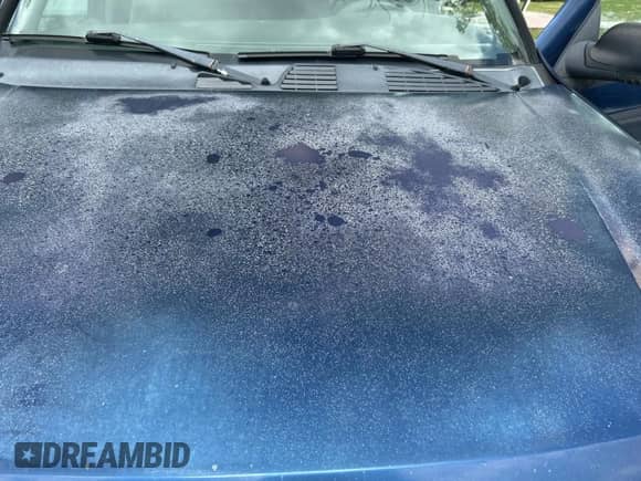 2003 Chevrolet TrailBlazer EXT LT z VIN 1GNET16S136172543, wystawiony jako Copart lot #65746185 z przebiegiem 193 815 mil mil oraz Czysty tytuł • Clean title. Historia ofert i sprzedaży dostępna na DreamBid. Obrazek 11.