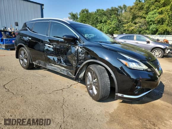 2020 Nissan Murano Platinum with VIN 5N1AZ2DS1LN173448, listed as a Copart auction lot 81012425 with 72,945 mi miles and Salvage title. Bid and sale history available at DreamBid. Image 4.