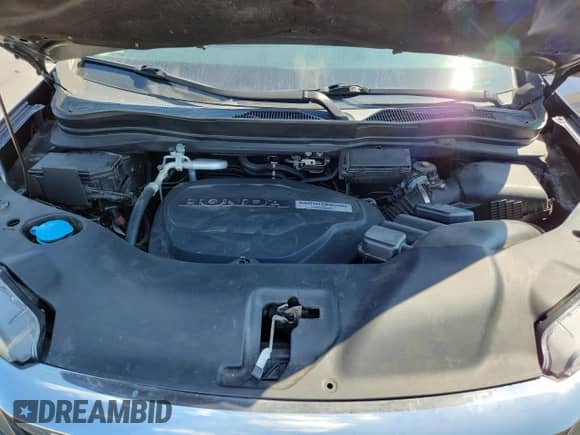 2019 Honda Pilot EX-L z VIN 5FNYF5H5XKB026513, wystawiony jako Copart lot #71431255 z przebiegiem 81 141 mil mil oraz Szkoda całkowita • Salvage title. Historia ofert i sprzedaży dostępna na DreamBid. Obrazek 12.