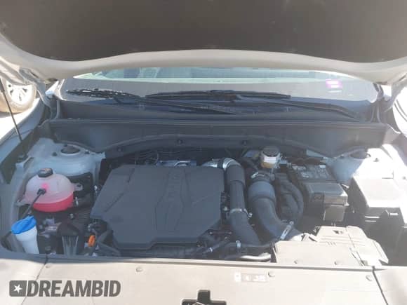 2024 Kia Sorento SX z VIN 5XYRK4JF2RG303784, wystawiony jako IAAI lot #41860346 z przebiegiem 8 978 mil mil oraz . Historia ofert i sprzedaży dostępna na DreamBid. Obrazek 10.