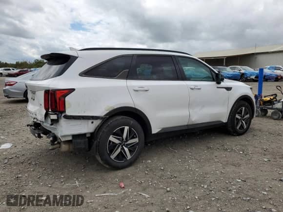 2021 Kia Sorento S with VIN 5XYRL4LC0MG054894, listed as a Copart auction lot 83925645 with 43,016 mi miles and Clean title. Bid and sale history available at DreamBid. Image 3.