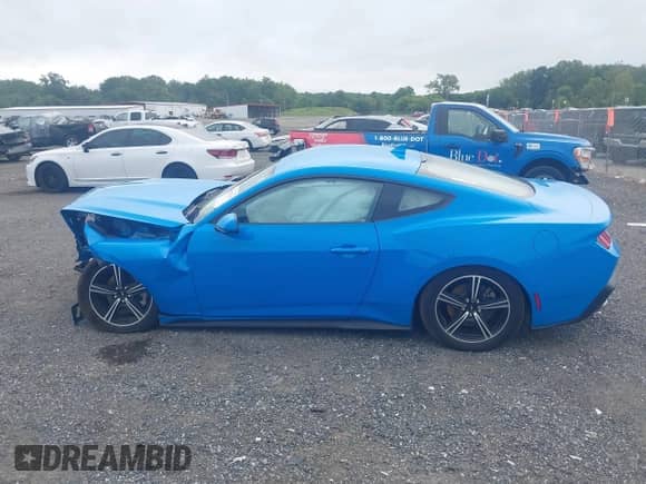 2024 Ford Mustang EcoBoost с VIN 1FA6P8TH8R5143368, выставлен на аукционе IAAI как лот 43025741 с пробегом 9 326 миль миль и . История ставок и продаж доступна на DreamBid. Изображение 15.