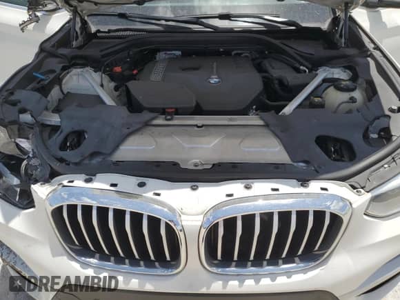 2018 BMW X3 xDrive30i с VIN 5UXTR9C50JLC73116, выставлен на аукционе Copart как лот 64649614 с пробегом 59 153 миль миль и На запчасти • Non repairable. История ставок и продаж доступна на DreamBid. Изображение 13.