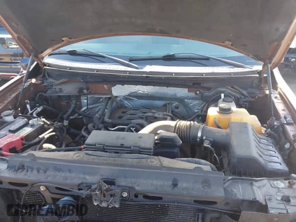 2011 Ford F-150 XL z VIN 1FTFW1EF3BFB95779, wystawiony jako IAAI lot #42996033 z przebiegiem 173 436 mil mil oraz . Historia ofert i sprzedaży dostępna na DreamBid. Obrazek 10.