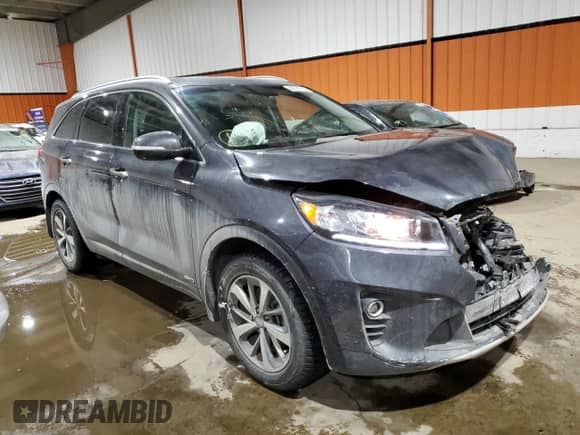 2019 Kia Sorento EX with VIN 5XYPHDA58KG492721, listed as a Copart auction lot 44188735 with 76,154 mi miles and Salvage title. Bid and sale history available at DreamBid. Image 4.