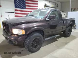 2004 Dodge 1500 SLT with VIN 1D7HU16D44J149136, listed as a Copart auction lot 60623995 with 113,066 mi miles and Salvage title. Bid and sale history available at DreamBid. Image 1.