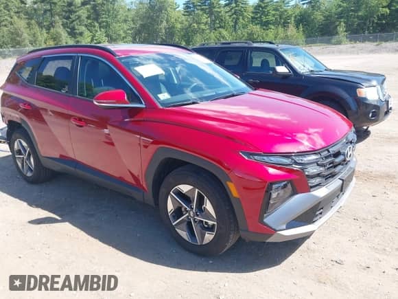 2025 Hyundai Tucson SEL Convenience with VIN 5NMJCCDEXSH490274, listed as a IAAI auction lot 43043807 with 6,245 mi miles and . Bid and sale history available at DreamBid. Image 1.