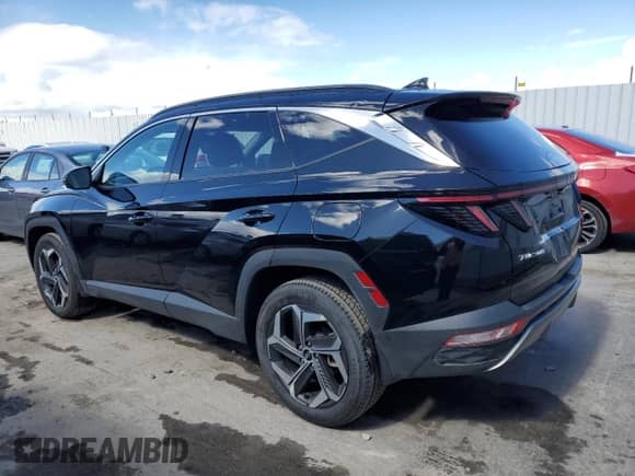 2023 Hyundai Tucson Limited с VIN 5NMJECAEXPH260451, выставлен на аукционе Copart как лот 49451445 с пробегом 32 198 миль миль и Чистый • Clean title. История ставок и продаж доступна на DreamBid. Изображение 2.