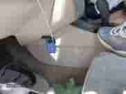 2009 Chevrolet Impala LT z VIN 2G1WT57N491167181, wystawiony jako IAAI lot #43043018 z przebiegiem 171 228 mil mil oraz . Historia ofert i sprzedaży dostępna na DreamBid. Obrazek 11.