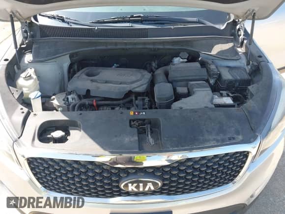 2018 Kia Sorento LX with VIN 5XYPG4A35JG350827, listed as a IAAI auction lot 42789038 with 257,209 mi miles and . Bid and sale history available at DreamBid. Image 10.