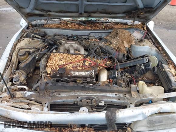 1991 Toyota Camry z VIN 4T1VV22E5MU065027, wystawiony jako IAAI lot #41919972 z przebiegiem 157 835 mil mil oraz . Historia ofert i sprzedaży dostępna na DreamBid. Obrazek 10.