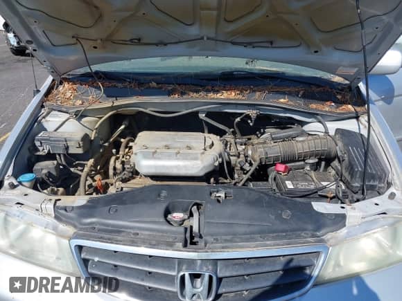 2004 Honda Odyssey EX с VIN 5FNRL18604B070814, выставлен на аукционе IAAI как лот 43211052 с пробегом 280 069 миль миль и . История ставок и продаж доступна на DreamBid. Изображение 10.