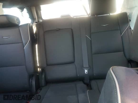 2023 Cadillac Escalade 4WD Premium Luxury with VIN 1GYS4CKL2PR371179, listed as a Copart auction lot 80698585 with Not provided miles and Salvage title. Bid and sale history available at DreamBid. Image 10.