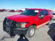 2019 Ford F-150 XL with VIN 1FTEW1CB6KKD50814, listed as a IAAI auction lot 41230911 with 35,600 mi miles and . Bid and sale history available at DreamBid. Image 2.