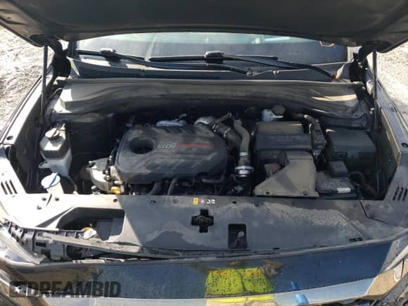 2019 Hyundai Santa Fe Limited с VIN 5NMS53AA9KH118084, выставлен на аукционе Copart как лот 55463582 с пробегом 65 418 миль миль и . История ставок и продаж доступна на DreamBid. Изображение 7.