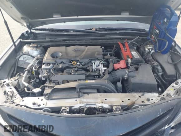 2019 Toyota Camry LE с VIN 4T1B11HK8KU276984, выставлен на аукционе IAAI как лот 43573452 с пробегом 222 174 миль миль и . История ставок и продаж доступна на DreamBid. Изображение 10.