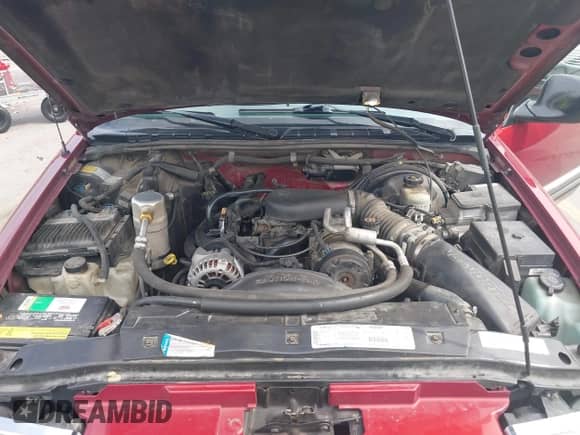 1998 Chevrolet Blazer LS with VIN 1GNDT13W4W2280735, listed as a IAAI auction lot 42480199 with 133,060 mi miles and . Bid and sale history available at DreamBid. Image 10.