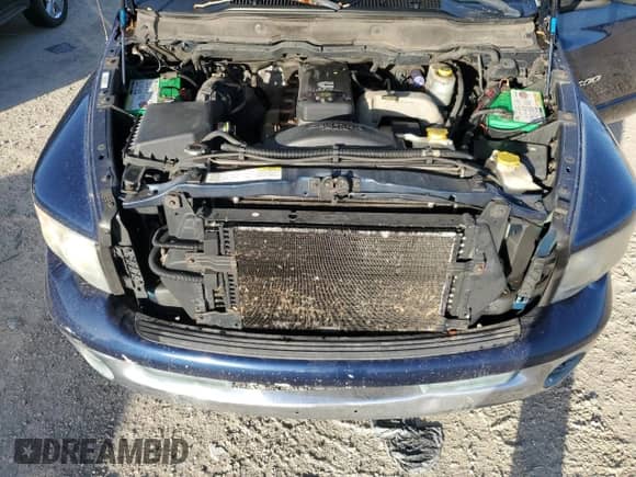 2003 Dodge RAM with VIN 3D7KA26603G716934, listed as a Copart auction lot 76830384 with 178,823 mi miles and Non repairable. Bid and sale history available at DreamBid. Image 11.