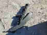 2001 Ford F-150 XL с VIN 1FTRF17W61NB93619, выставлен на аукционе Copart как лот 82192144 с пробегом 228 653 миль миль и Списание • Salvage title. История ставок и продаж доступна на DreamBid. Изображение 14.