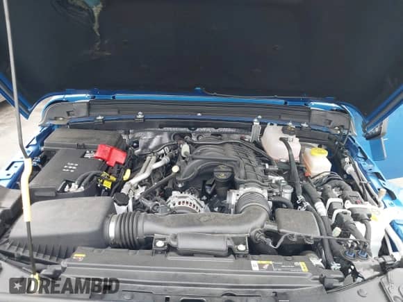 2024 Jeep Wrangler Sahara с VIN 1C4PJXEG9RW237526, выставлен на аукционе IAAI как лот 42112402 с пробегом 2 626 миль миль и . История ставок и продаж доступна на DreamBid. Изображение 10.