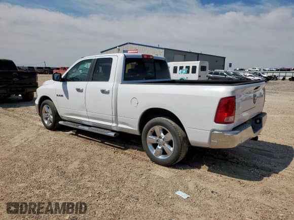 2010 Dodge 1500 SLT with VIN 1D7RB1GP4AS141871, listed as a Copart auction lot 68866015 with 209,058 mi miles and Clean title. Bid and sale history available at DreamBid. Image 2.