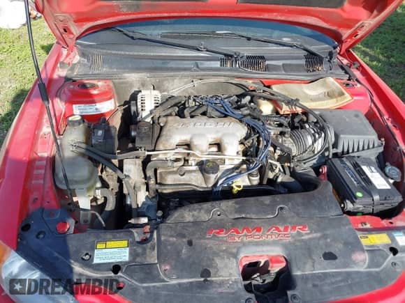 2001 Pontiac Grand Am GT z VIN 1G2NW12E51M542292, wystawiony jako IAAI lot #41971237 z przebiegiem Nie podano mil oraz . Historia ofert i sprzedaży dostępna na DreamBid. Obrazek 10.