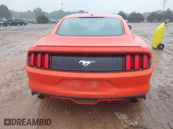 2015 Ford Mustang EcoBoost Premium with VIN 1FA6P8TH3F5346969, listed as a IAAI auction lot 43331239 with 114,039 mi miles and . Bid and sale history available at DreamBid. Image 16.