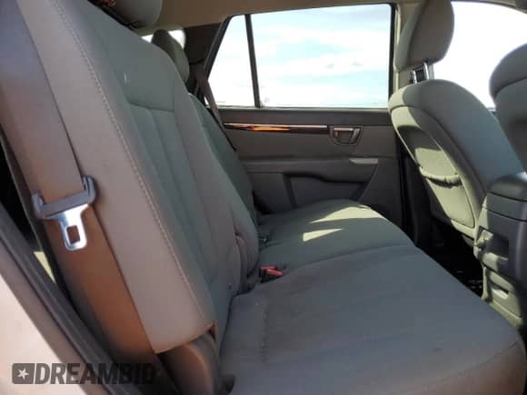 2010 Hyundai Santa Fe GLS with VIN 5NMSGDAB4AH413763, listed as a Copart auction lot 85185055 with 255,013 mi miles and Clean title. Bid and sale history available at DreamBid. Image 11.