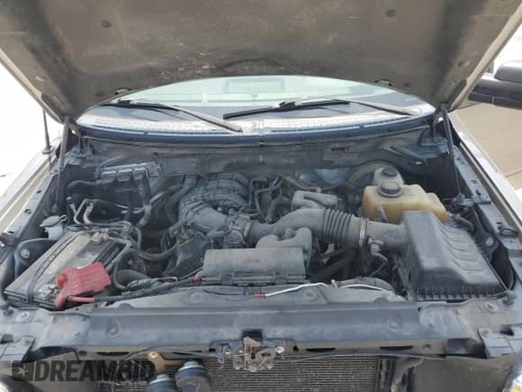 2011 Ford F-150 XL z VIN 1FTEW1CM0BFB03900, wystawiony jako Copart lot #65834965 z przebiegiem 228 776 mil mil oraz Szkoda całkowita • Salvage title. Historia ofert i sprzedaży dostępna na DreamBid. Obrazek 11.