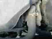 2020 Kia Sorento EX with VIN 5XYPHDA57LG623624, listed as a Copart auction lot 71963655 with 131,776 mi miles and Salvage title. Bid and sale history available at DreamBid. Image 13.