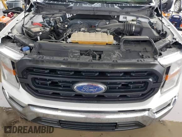 2021 Ford F-150 XL с VIN 1FTMF1CB6MKE34369, выставлен на аукционе Copart как лот 80824095 с пробегом 72 119 миль миль и Списание • Salvage title. История ставок и продаж доступна на DreamBid. Изображение 11.